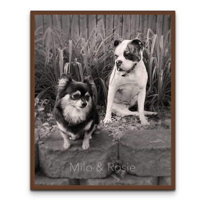 a black and white photo of two dogs