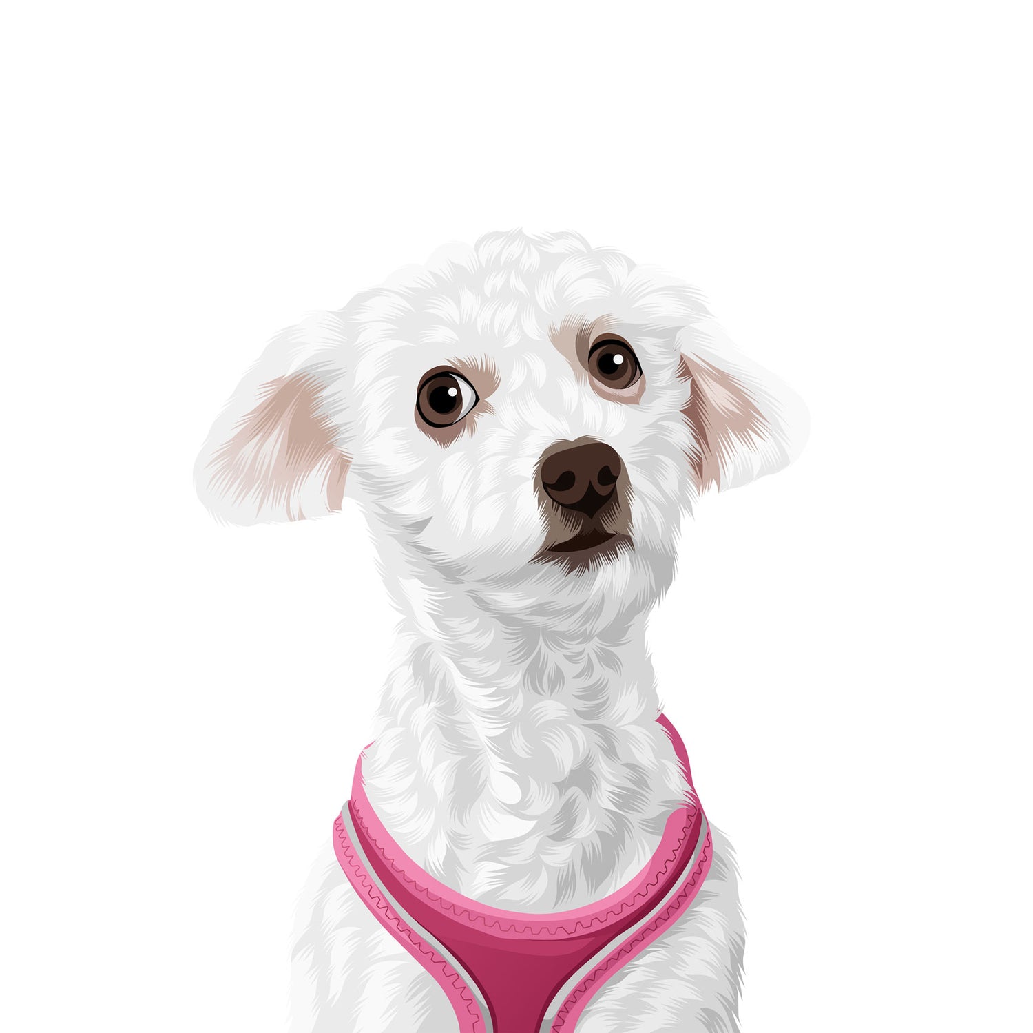 a white dog wearing a pink harness